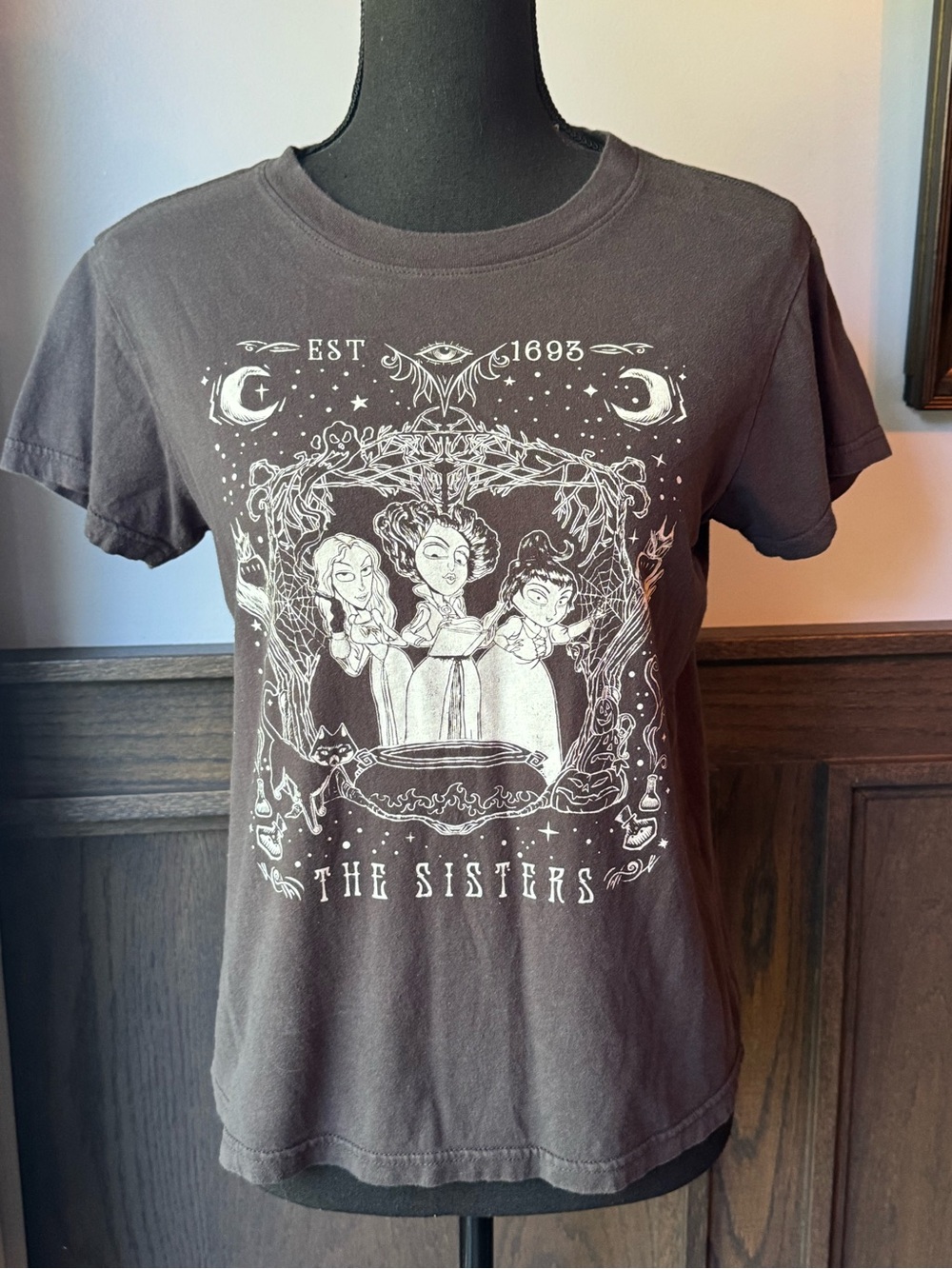 Disney Hocus Pocus The Sisters' Graphic Tee - Dark Gray and White